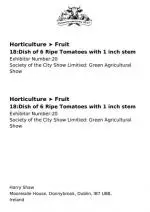 SuperShow Exhibitor Card - Two-part (A6)